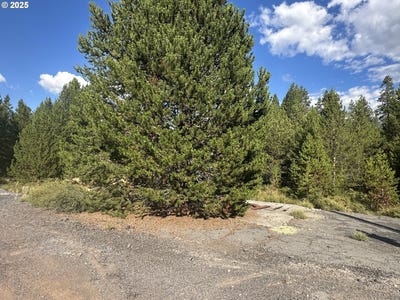 /international/us/hwy-97-crescent-or-110101114653/