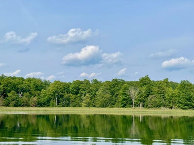 /international/us/803-guenther-ridge-gaylord-mi-110070361231/