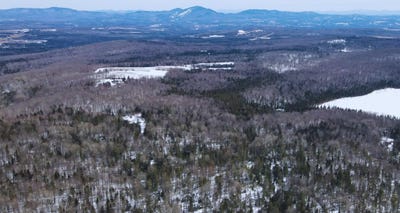 /international/us/1606-town-farm-road-sheffield-vt-110106589780/