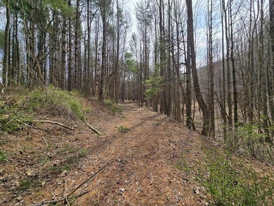 /international/us/tbd-breezy-ridge-rd-woodlawn-va-110098596498/