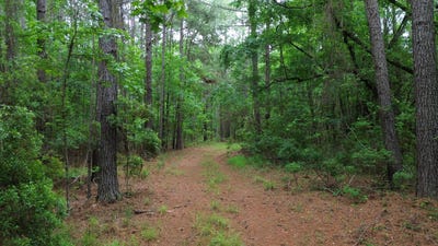 /international/us/tbd-pineview-farm-rd-lane-sc-110108382250/