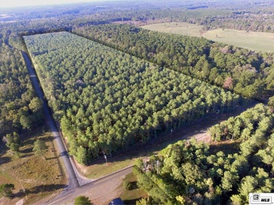 /international/us/highway-544-lot-bissic-rd-simsboro-la-110120515063/
