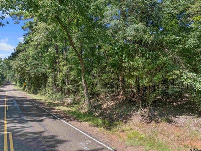 /international/us/tbd-s-fm-225-laneville-tx-110101329626/