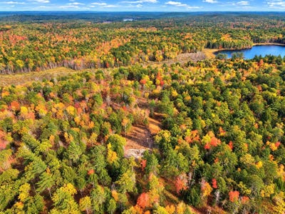 /international/us/n-weary-pond-road-whitefield-me-110120485955/