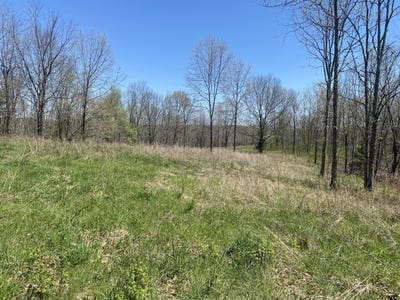 /international/us/joshua-tree-road-highlandville-mo-110108227354/
