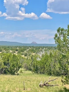 /international/us/county-rd-b29a-villanueva-nm-110102284112/