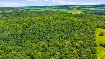 /international/us/gamble-hill-road-hanover-il-110120549449/