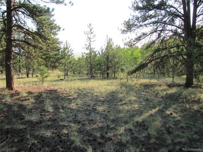 /international/us/9736-ranch-road-hartsel-co-110101510038/