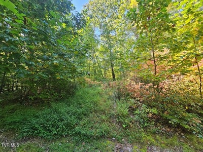 /international/us/fox-hollow-drive-lot-17-tazewell-va-110095545887/