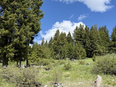/international/us/tbd-toroda-creek-rd-wauconda-wa-110108078740/