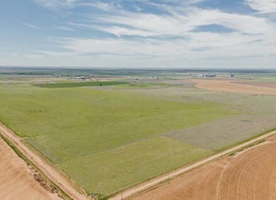 /international/us/plainview-farms-plainview-tx-110102286864/