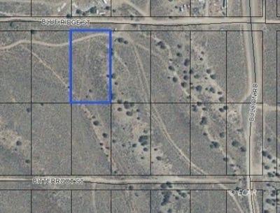 /international/us/066020005-blue-ridge-street-elko-nv-110103660285/