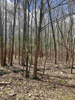 /international/us/555-woodland-trace-cordova-tn-110090761009/?lang=zh-tw
