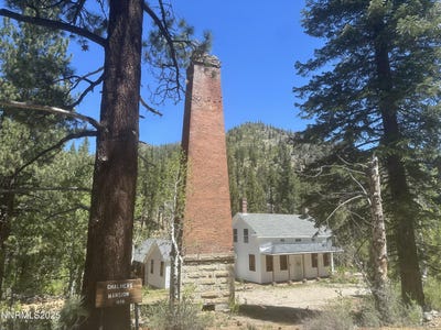 /international/us/26500-highway-4-markleeville-ca-110098778567/