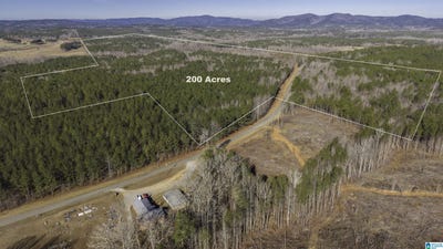 /international/us/county-road-49-lot-0-fruithurst-al-110120412336/