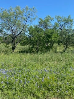 /international/us/313-sweetgrass-horseshoe-bay-tx-110100975100/?lang=zh-tw