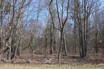 /international/us/86-87-buck-hill-road-blakeslee-pa-110097357385/