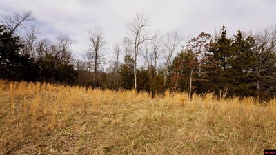 /international/us/oakridge-drive-lot-20-gepp-ar-110097867763/