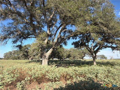 /international/us/1665-garrett-road-yoakum-tx-110120482917/