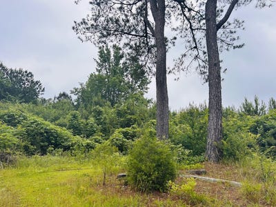 /international/us/2485-mitchellville-road-ohatchee-al-110099634565/