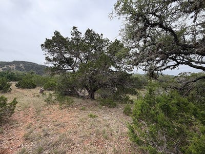 /international/us/tbd-farm-to-market-289-comfort-tx-110107923238/