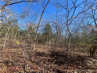 /international/us/lot-116-apache-lane-rocky-mount-mo-110096877780/?lang=en