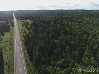 /international/us/332-acres-river-road-gulliver-mi-110102595077/