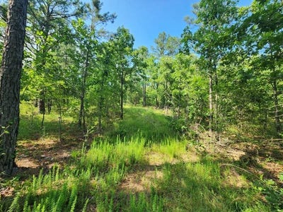 /international/us/4-tbd-leflore-oklahoma-wister-ok-110100321589/