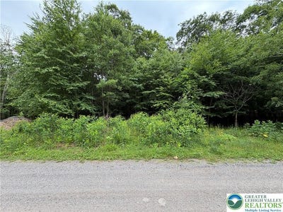 /international/us/fawn-lane-walker-twp-pa-110108999154/