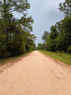 /international/us/0-taylor-avenue-irvington-al-110100325274/?lang=it