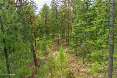/international/us/29-n1068-greer-az-110098358906/