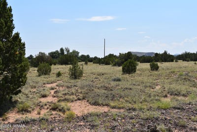 /international/us/74-evergreen-lane-concho-az-110090693086/