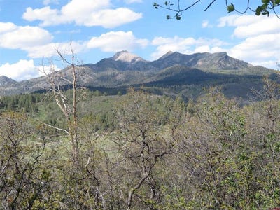 /international/us/1000-perry-dr-pagosa-springs-co-110108333204/