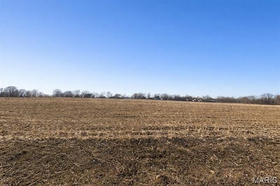 /international/us/2281-staunton-road-troy-il-110104965003/