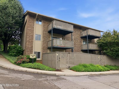 /international/us/3636-taliluna-ave-knoxville-tn-110109030067/