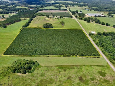 /international/us/0-edgefield-road-clayton-al-110108888155/