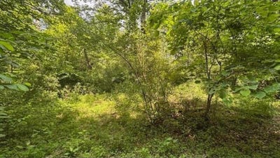 /international/us/14500-wolfe-road-amesville-oh-110107910424/