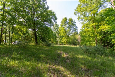 /international/us/16199-w-clear-lake-road-buchanan-mi-110098584187/?lang=en