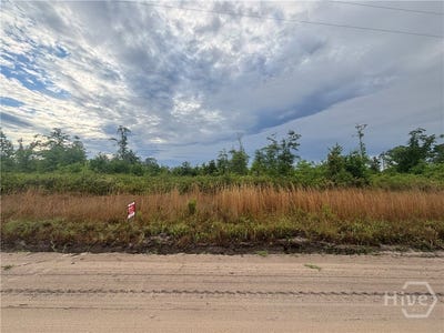 /international/us/riggs-lane-claxton-ga-110107955409/