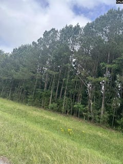 /international/us/bypass-34-newberry-sc-110107763849/
