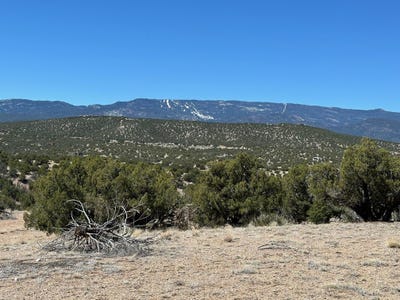 /international/us/57-cottonwood-trail-sandia-park-nm-110090416807/
