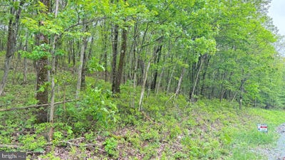 /international/us/182-salem-mountain-rd-carbondale-pa-110101255875/?lang=zh-tw