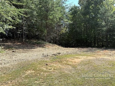 /international/us/ridge-run-road-boomer-nc-110110390818/