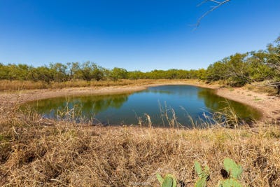 /international/us/us-hwy-83-n-ovalo-tx-110108507573/
