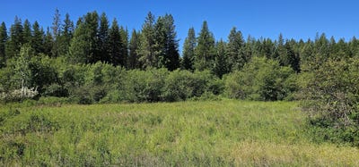 /international/us/5xxx-olinger-rd-springdale-wa-110100694258/