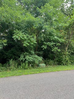 /international/us/l-7-johnson-street-canajoharie-ny-110107668902/