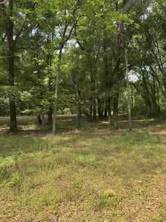 /international/us/4544-n-county-road-61-hartford-al-110107627832/
