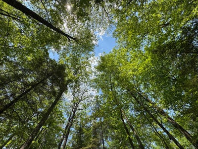 /international/us/309-310-deerwood-rd-minocqua-wi-110101261162/