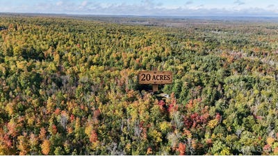 /international/us/625-yalmer-road-skandia-mi-110110369142/