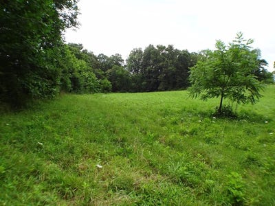 /international/us/lot-8-porter-creek-rd-phs-2-franklin-nc-110100863617/?lang=zh-tw